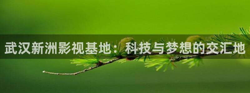 桔子影视剧大全免费观看